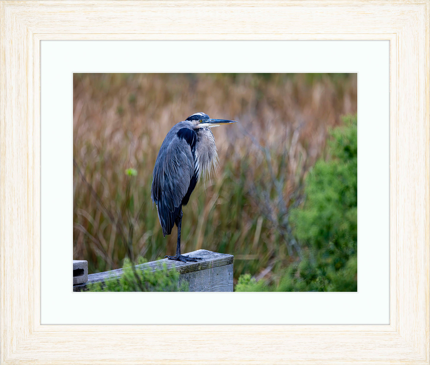 The Morning Watch -- Digital Print