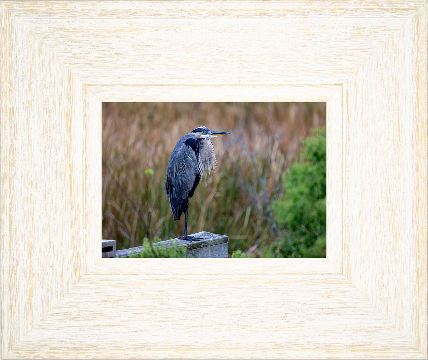 The Morning Watch -- Digital Print