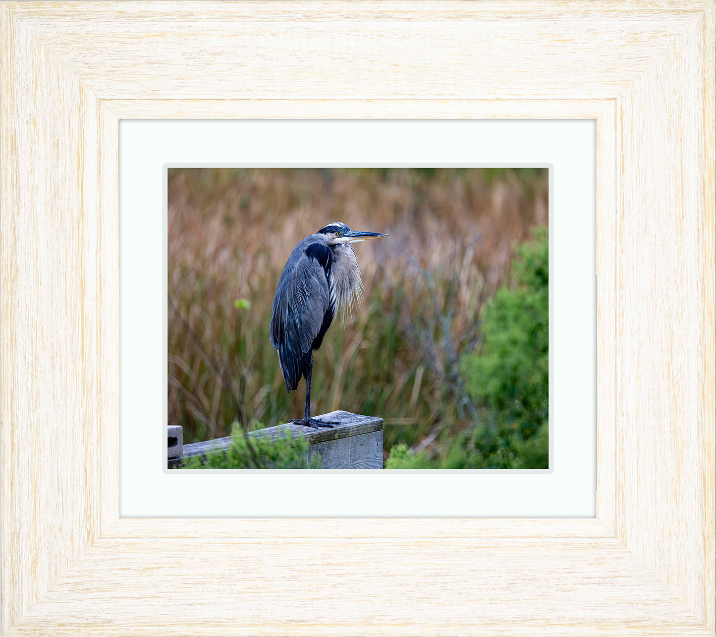 The Morning Watch -- Digital Print