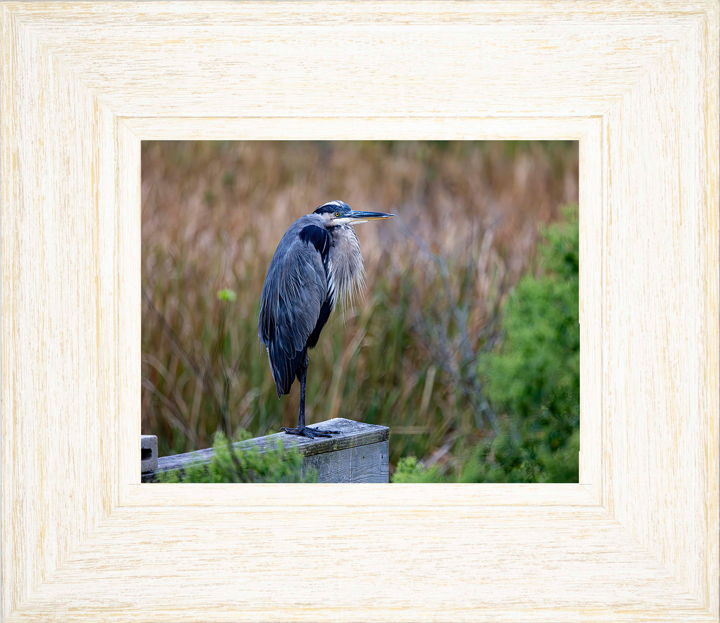 The Morning Watch -- Digital Print