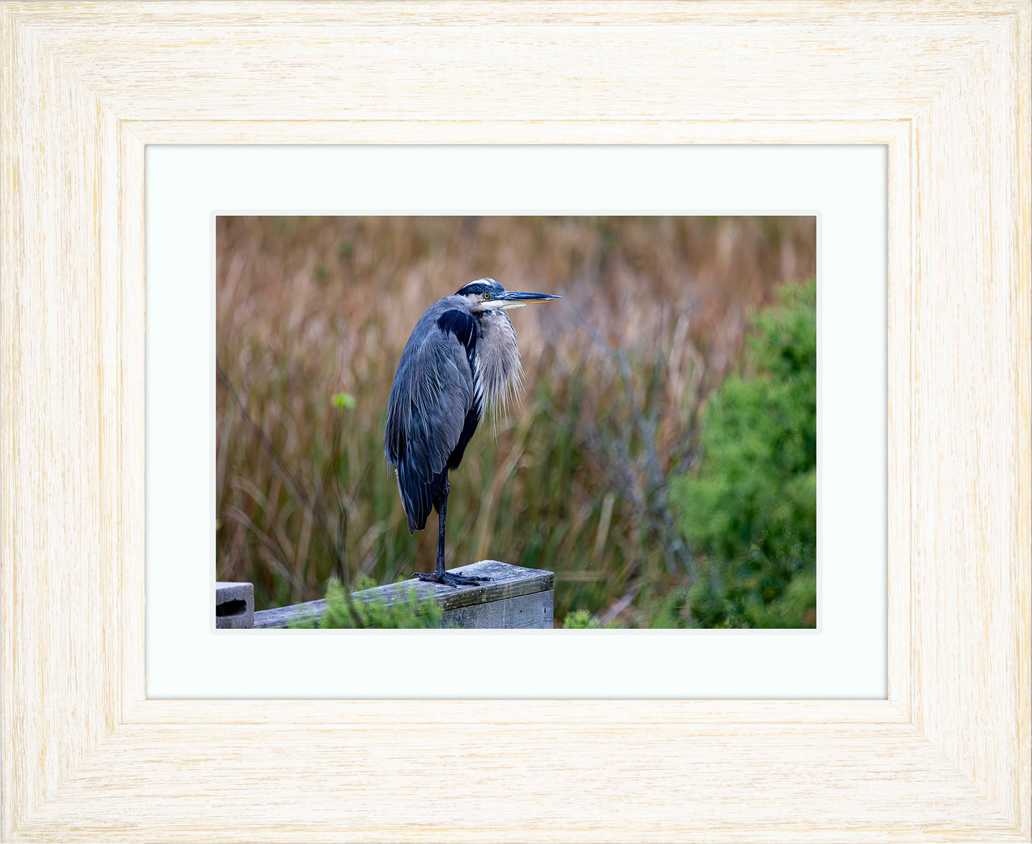 The Morning Watch -- Digital Print