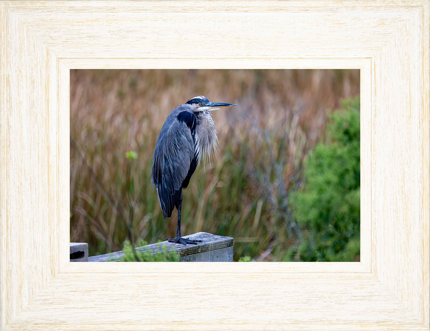 The Morning Watch -- Digital Print