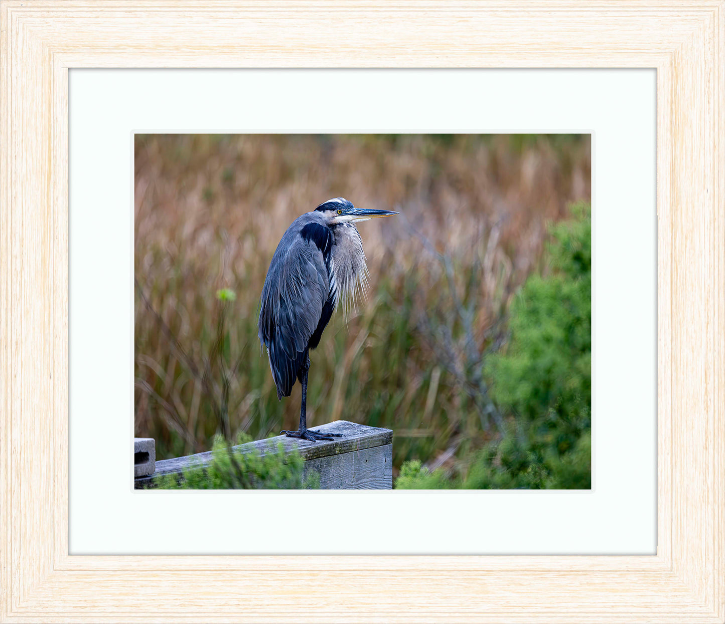 The Morning Watch -- Digital Print