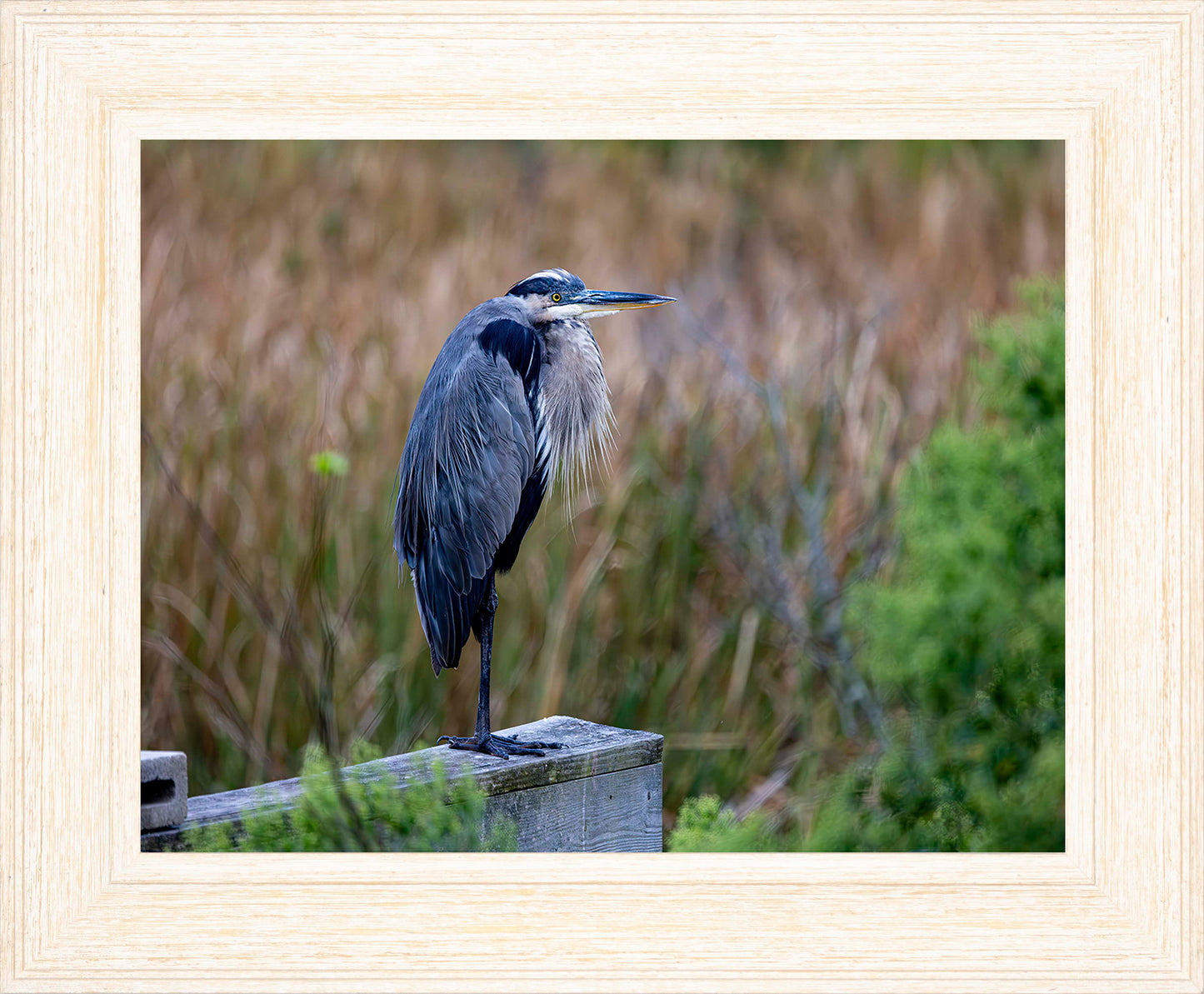 The Morning Watch -- Digital Print
