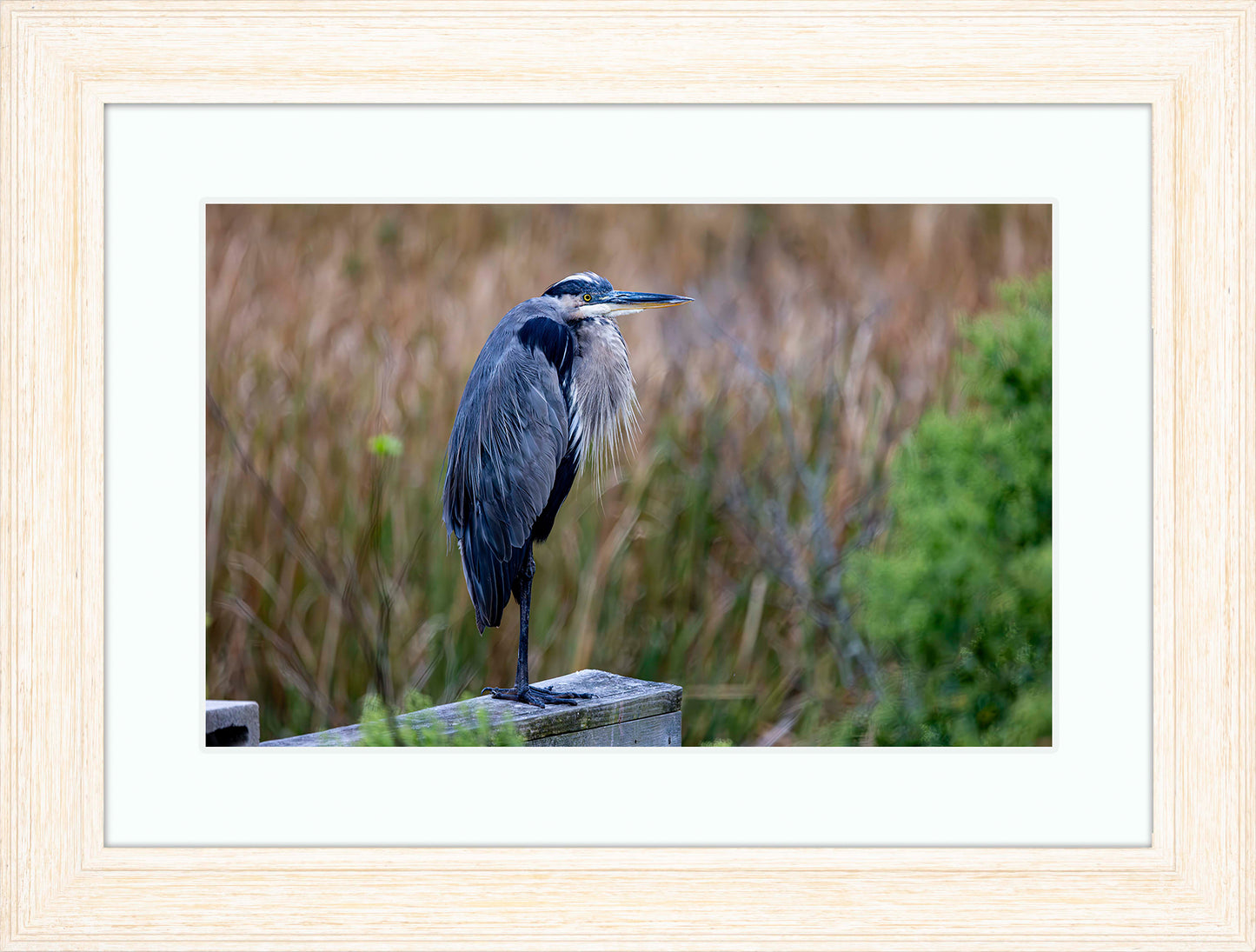 The Morning Watch -- Digital Print