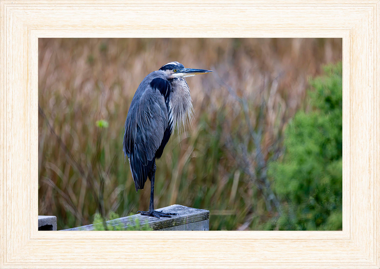 The Morning Watch -- Digital Print