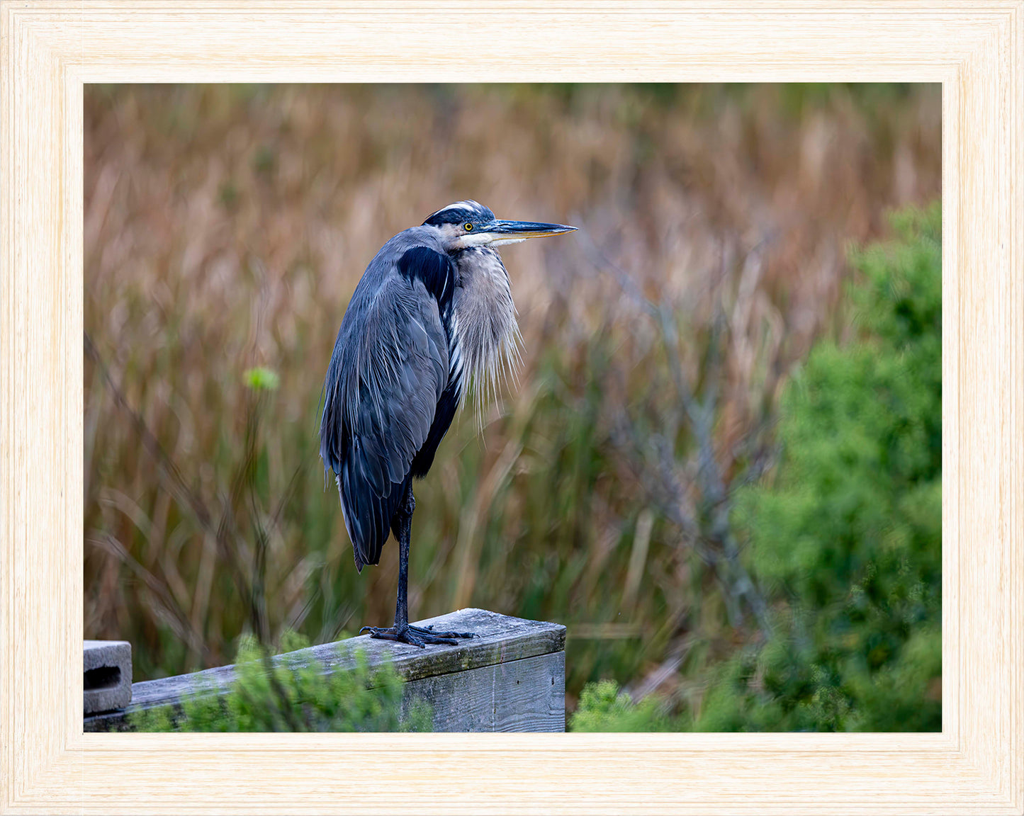 The Morning Watch -- Digital Print