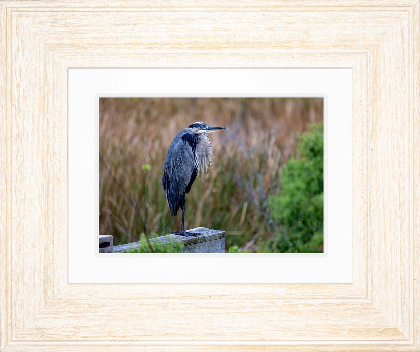 The Morning Watch -- Digital Print