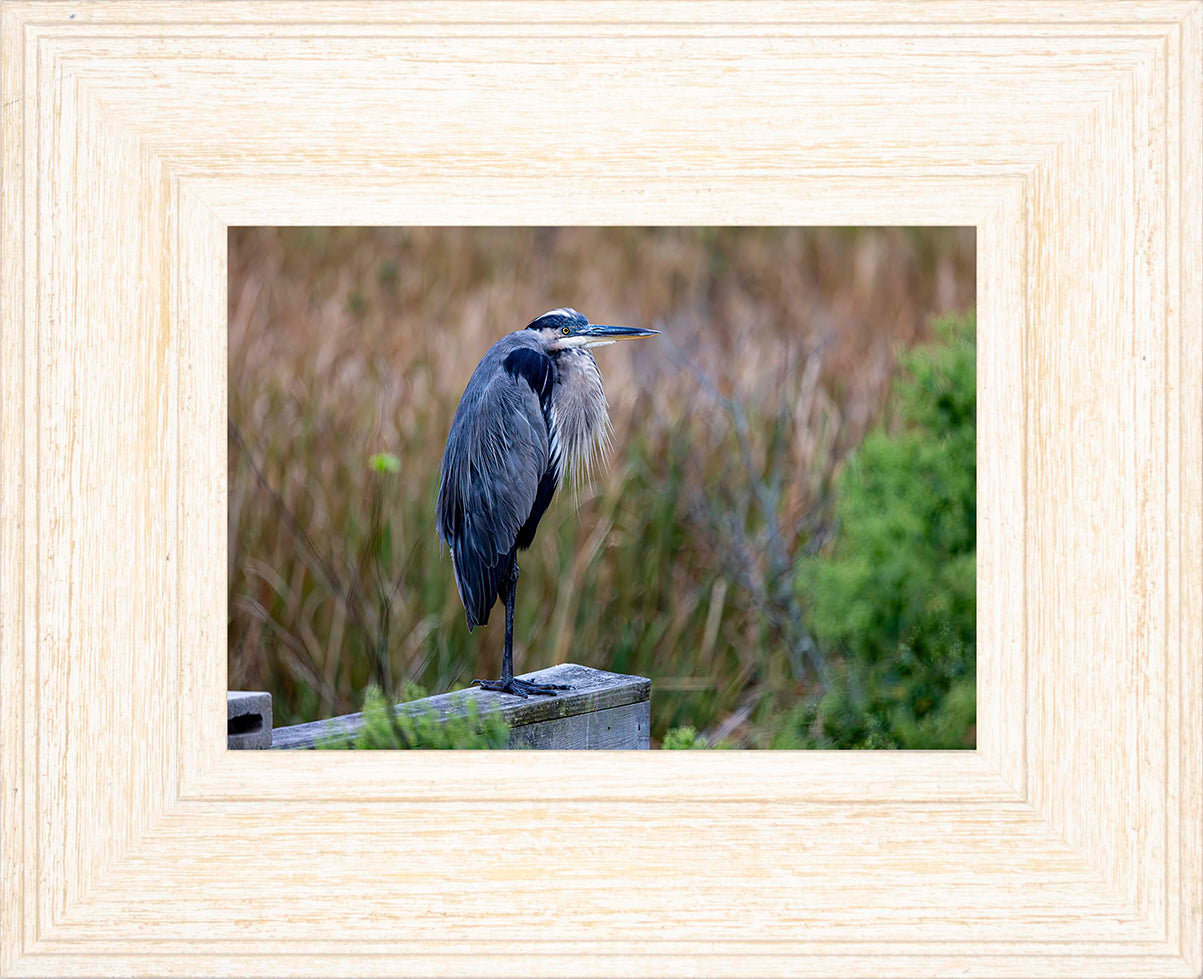 The Morning Watch -- Digital Print