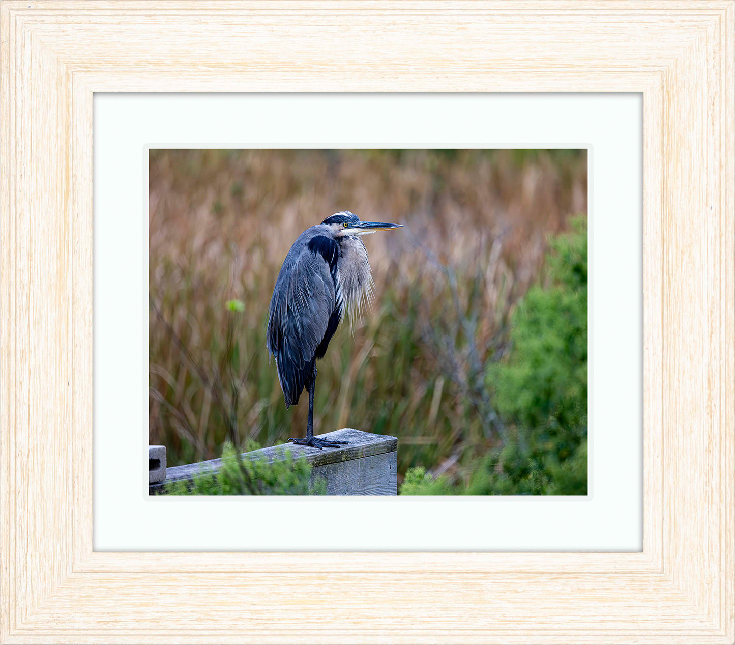 The Morning Watch -- Digital Print