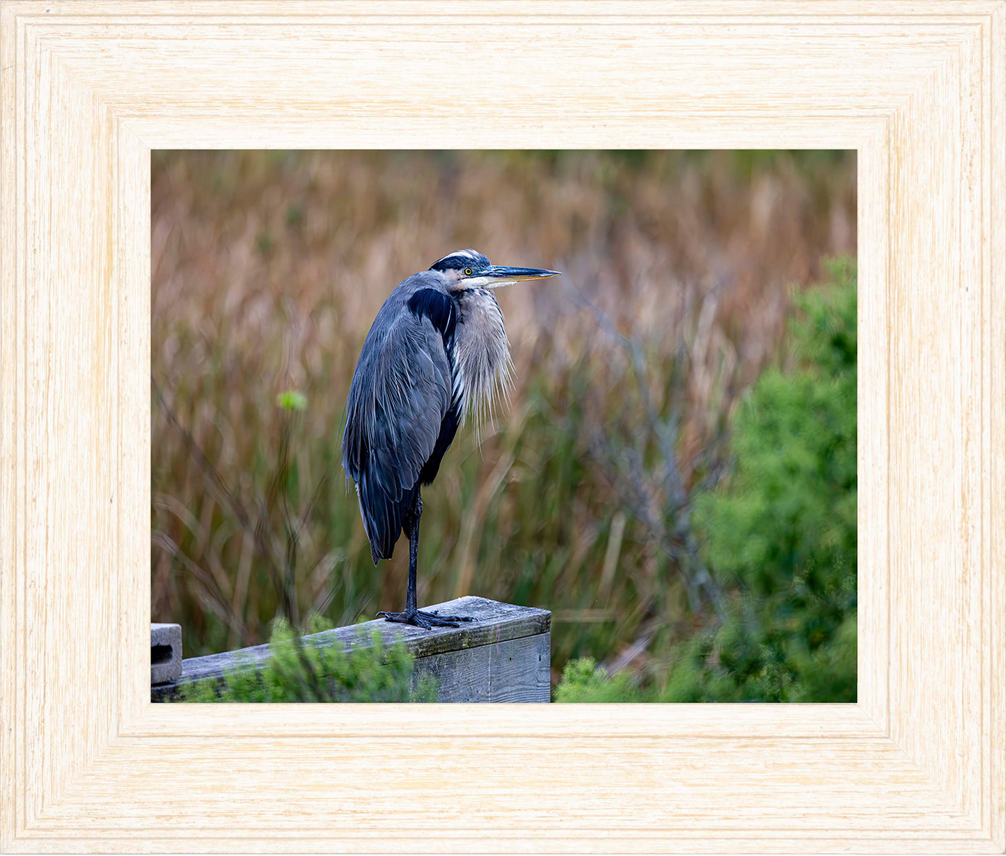 The Morning Watch -- Digital Print