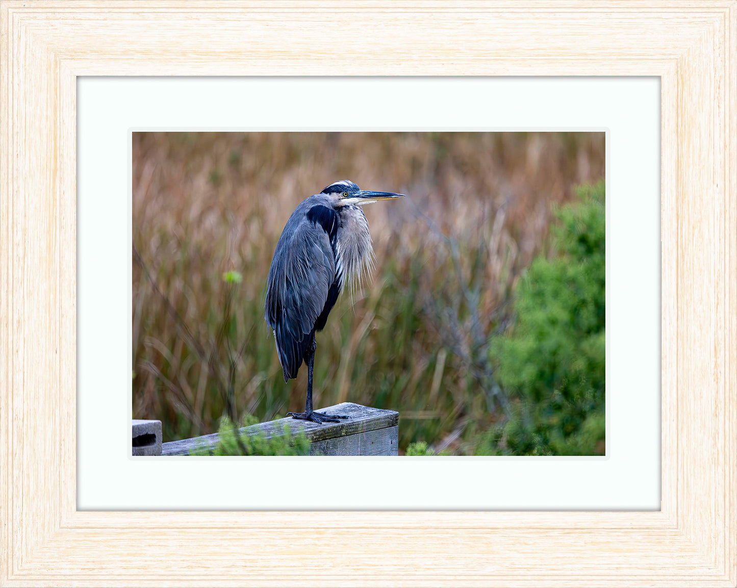 The Morning Watch -- Digital Print