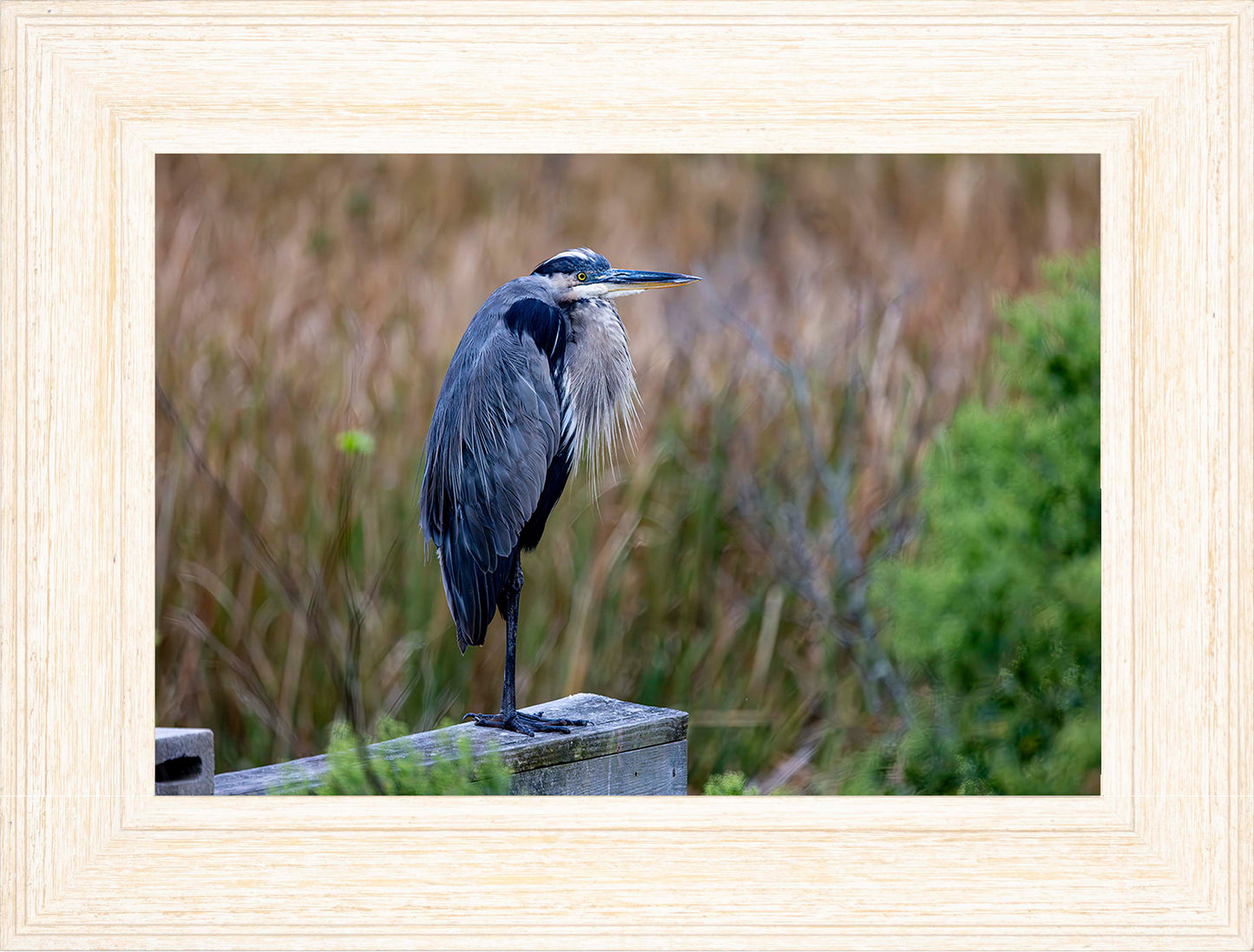 The Morning Watch -- Digital Print