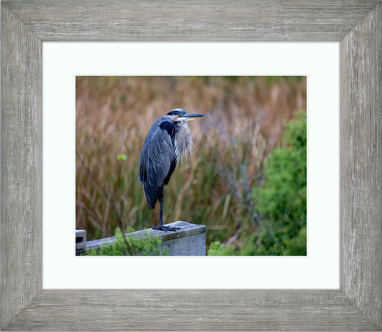 The Morning Watch -- Digital Print