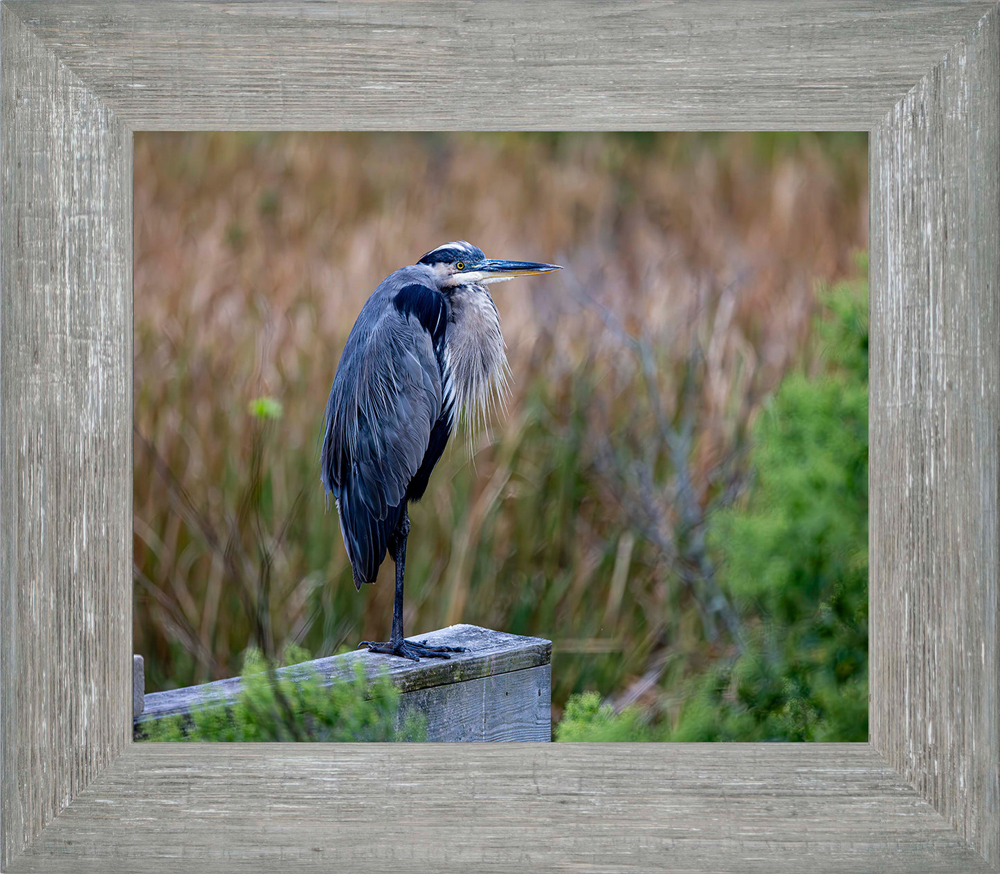 The Morning Watch -- Digital Print