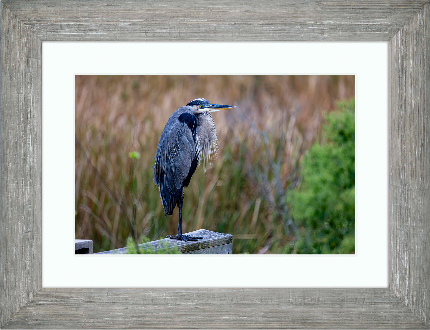 The Morning Watch -- Digital Print