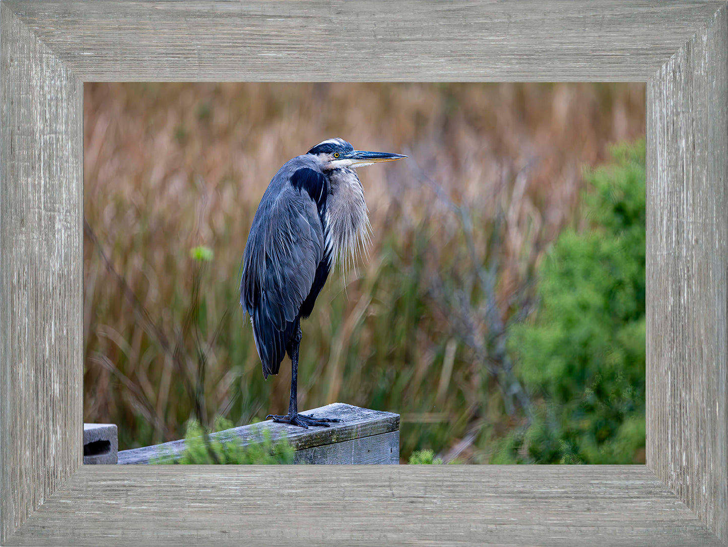 The Morning Watch -- Digital Print