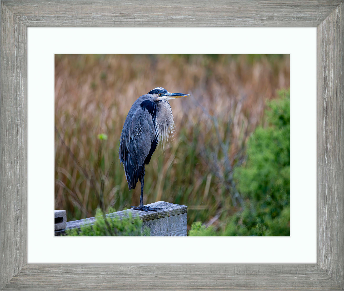 The Morning Watch -- Digital Print