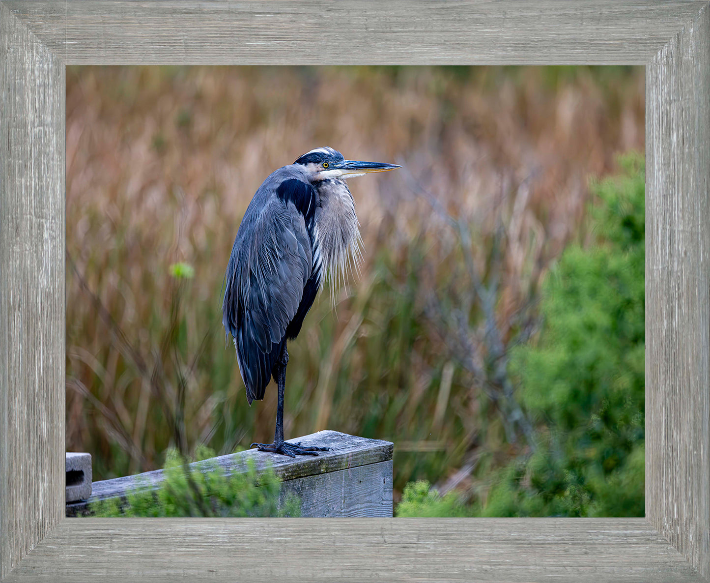 The Morning Watch -- Digital Print