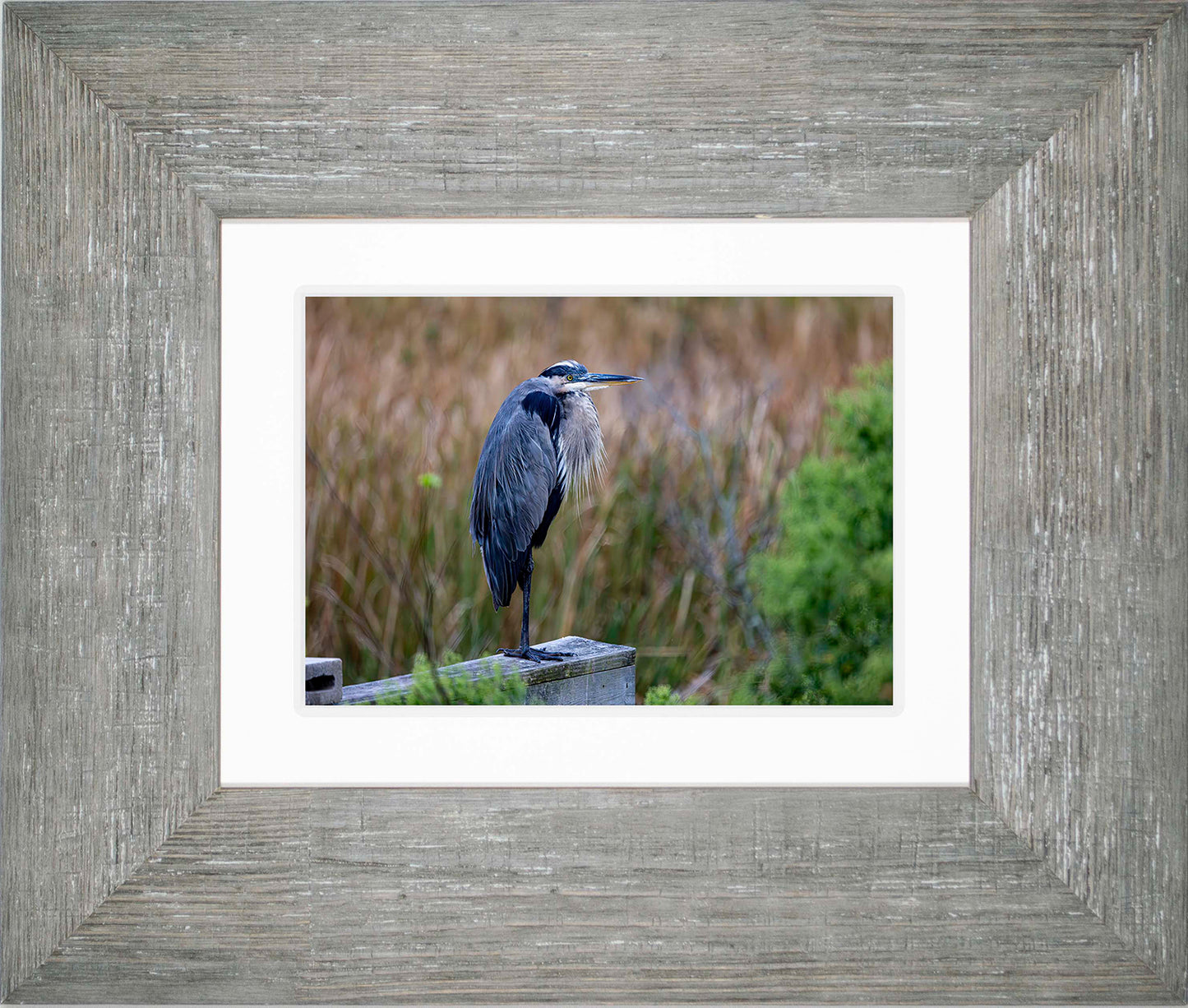 The Morning Watch -- Digital Print