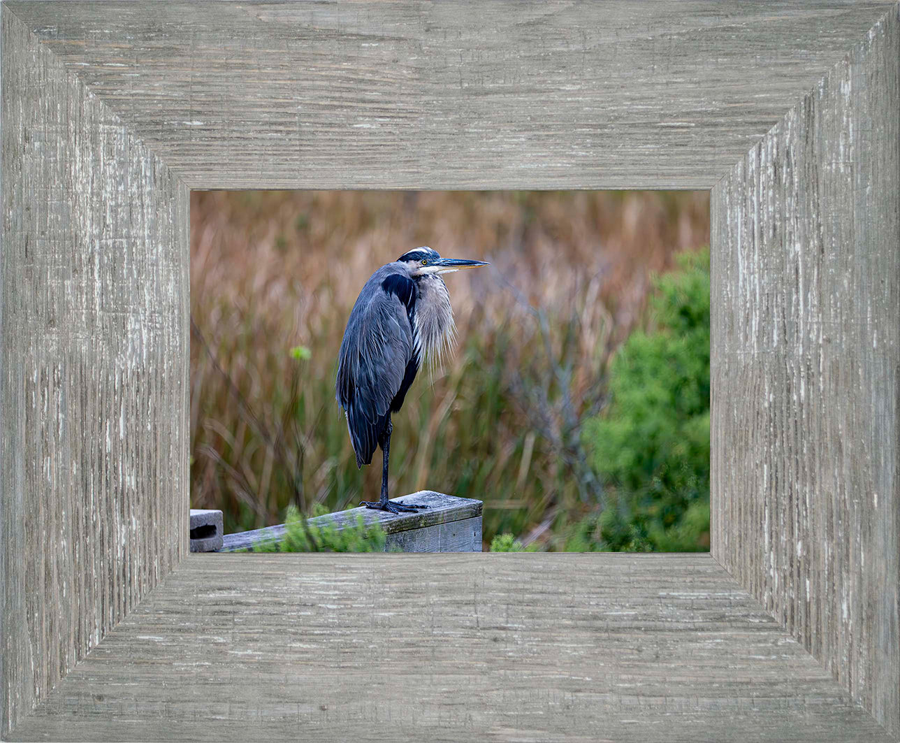 The Morning Watch -- Digital Print