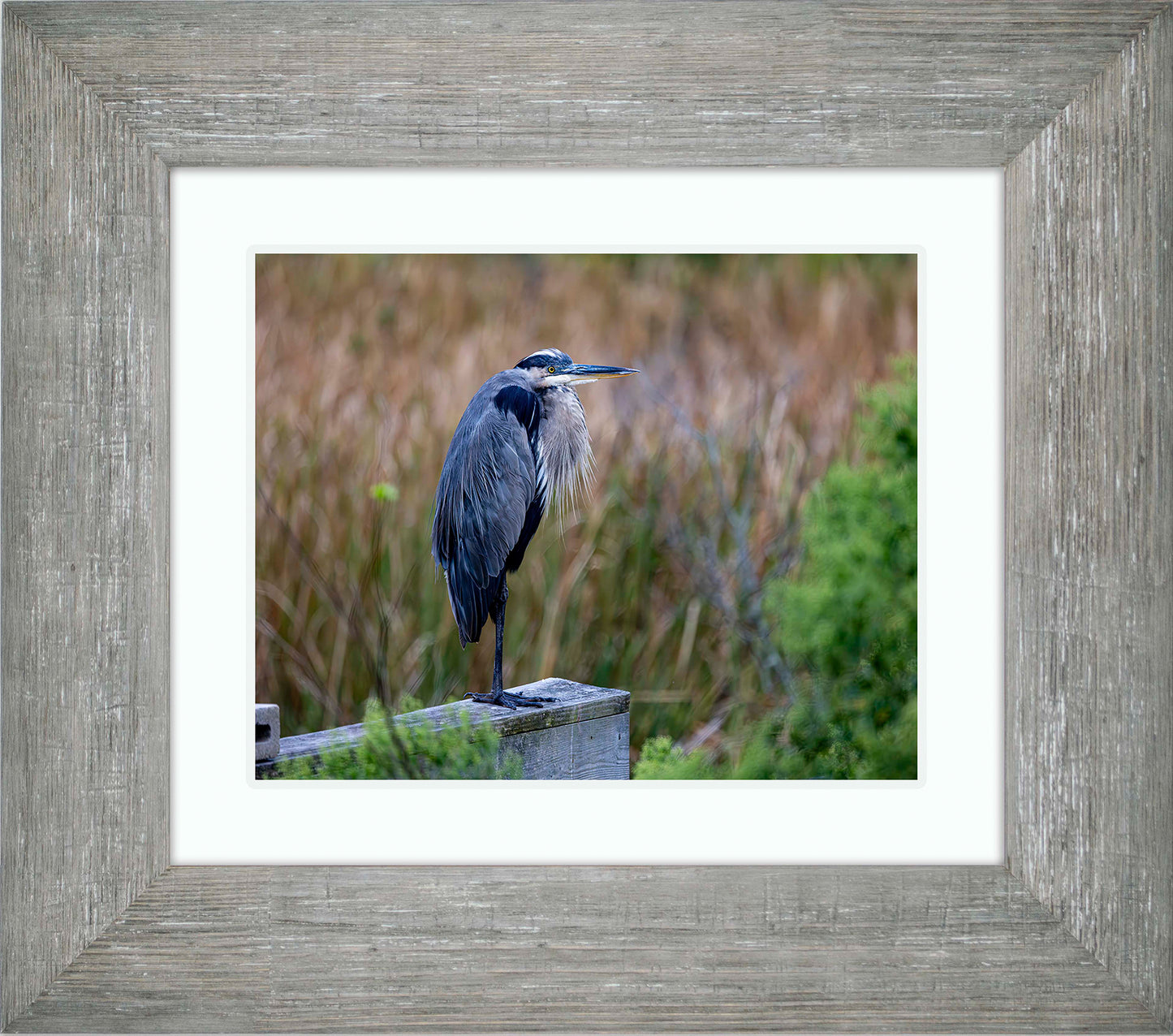 The Morning Watch -- Digital Print