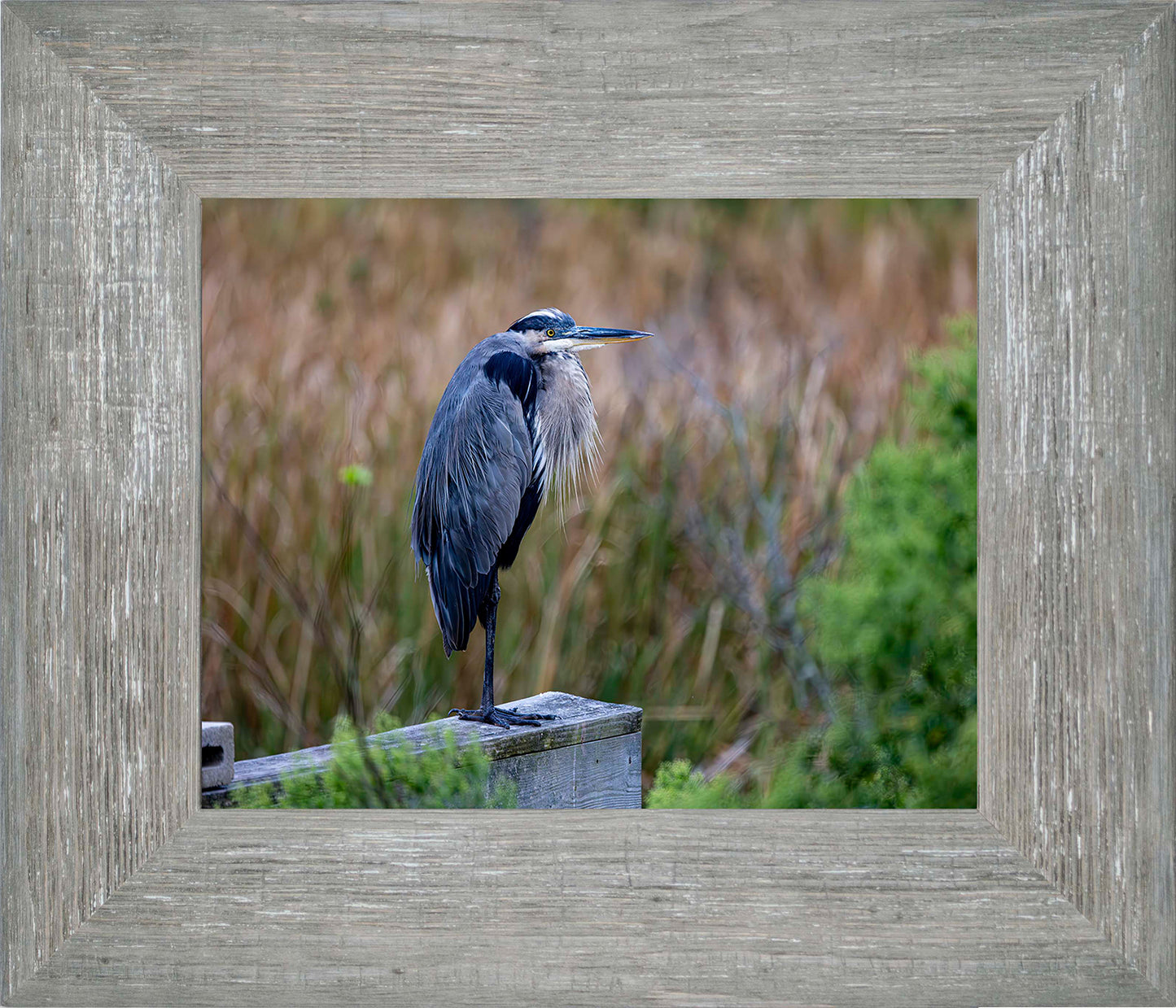 The Morning Watch -- Digital Print