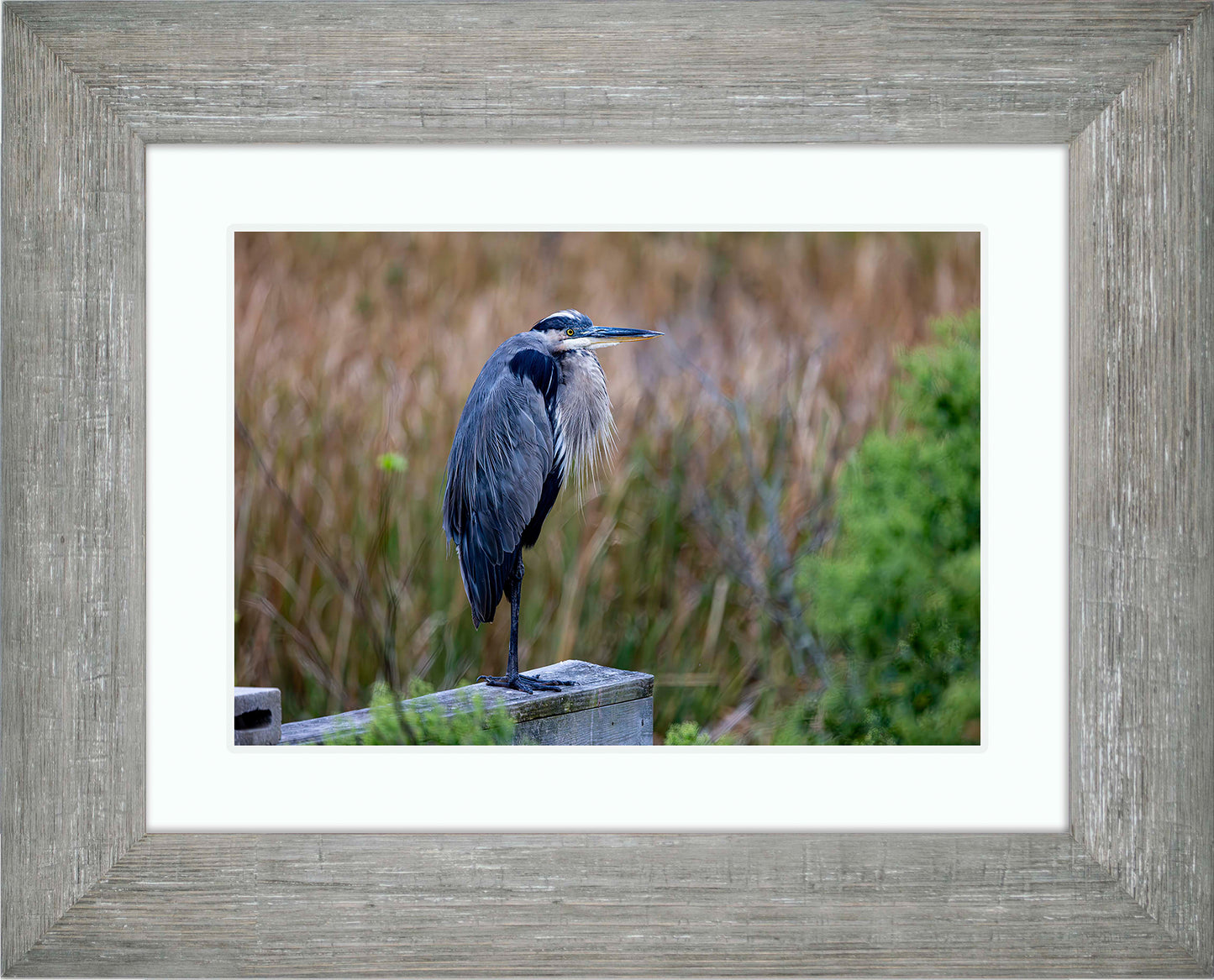 The Morning Watch -- Digital Print