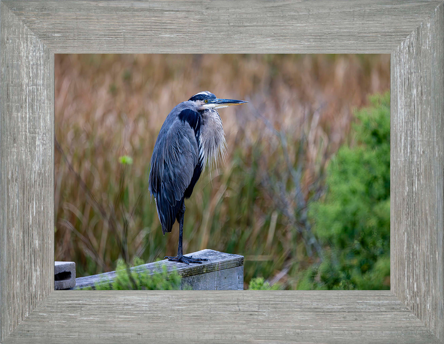 The Morning Watch -- Digital Print