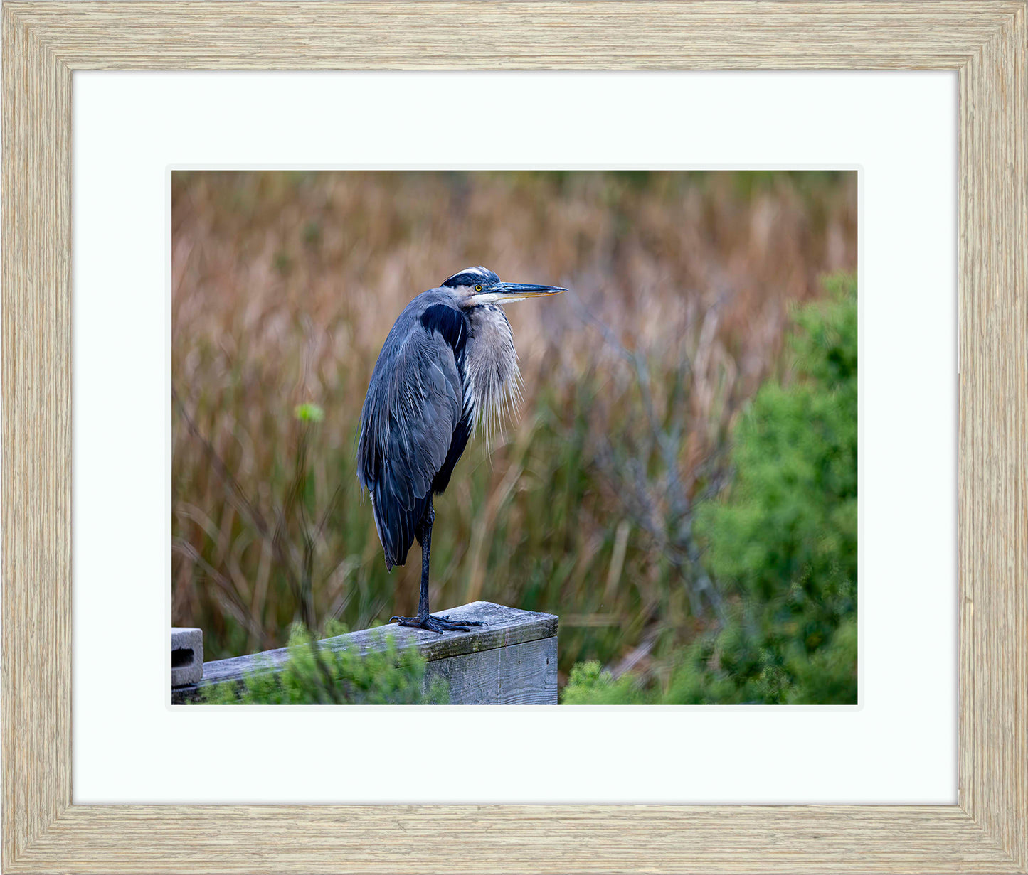 The Morning Watch -- Digital Print