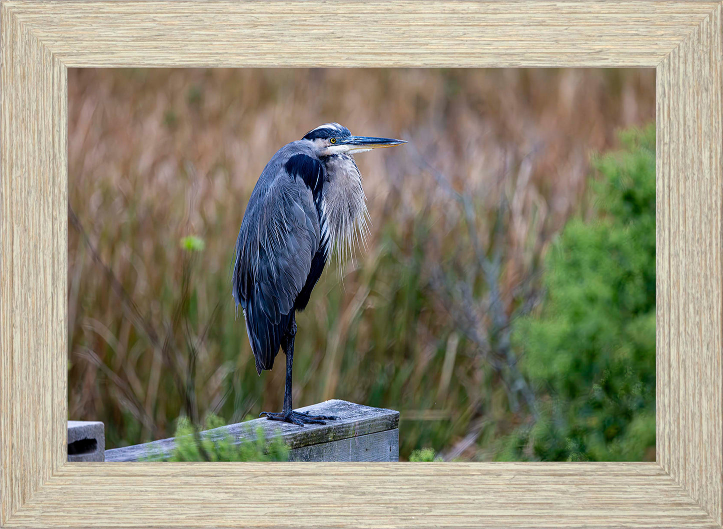 The Morning Watch -- Digital Print