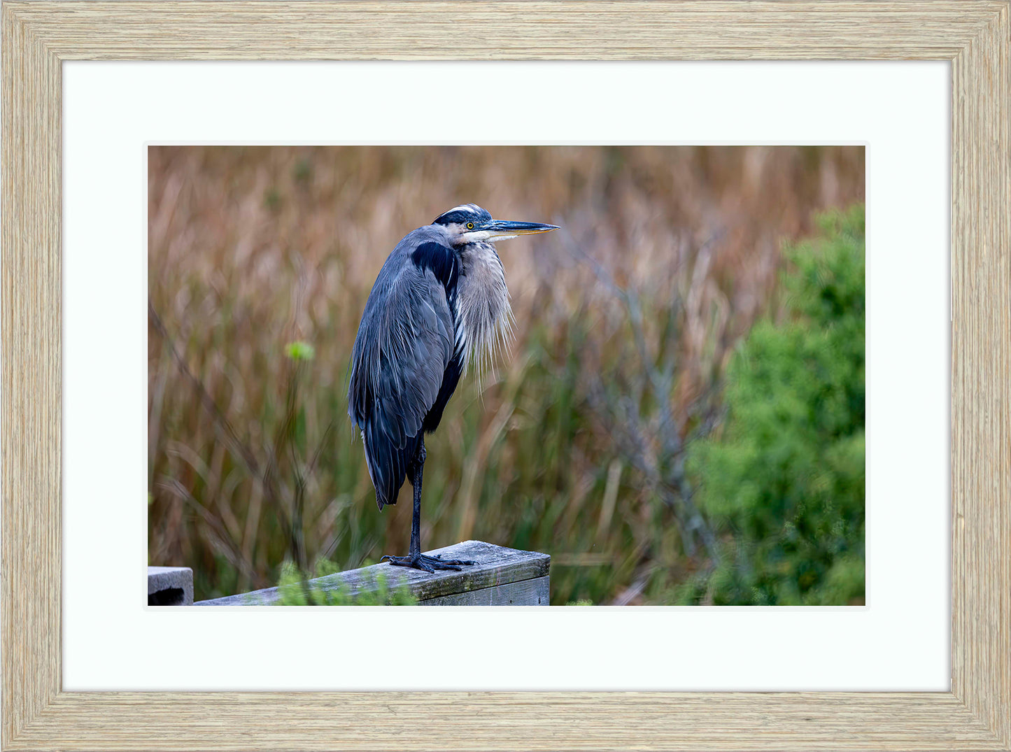 The Morning Watch -- Digital Print