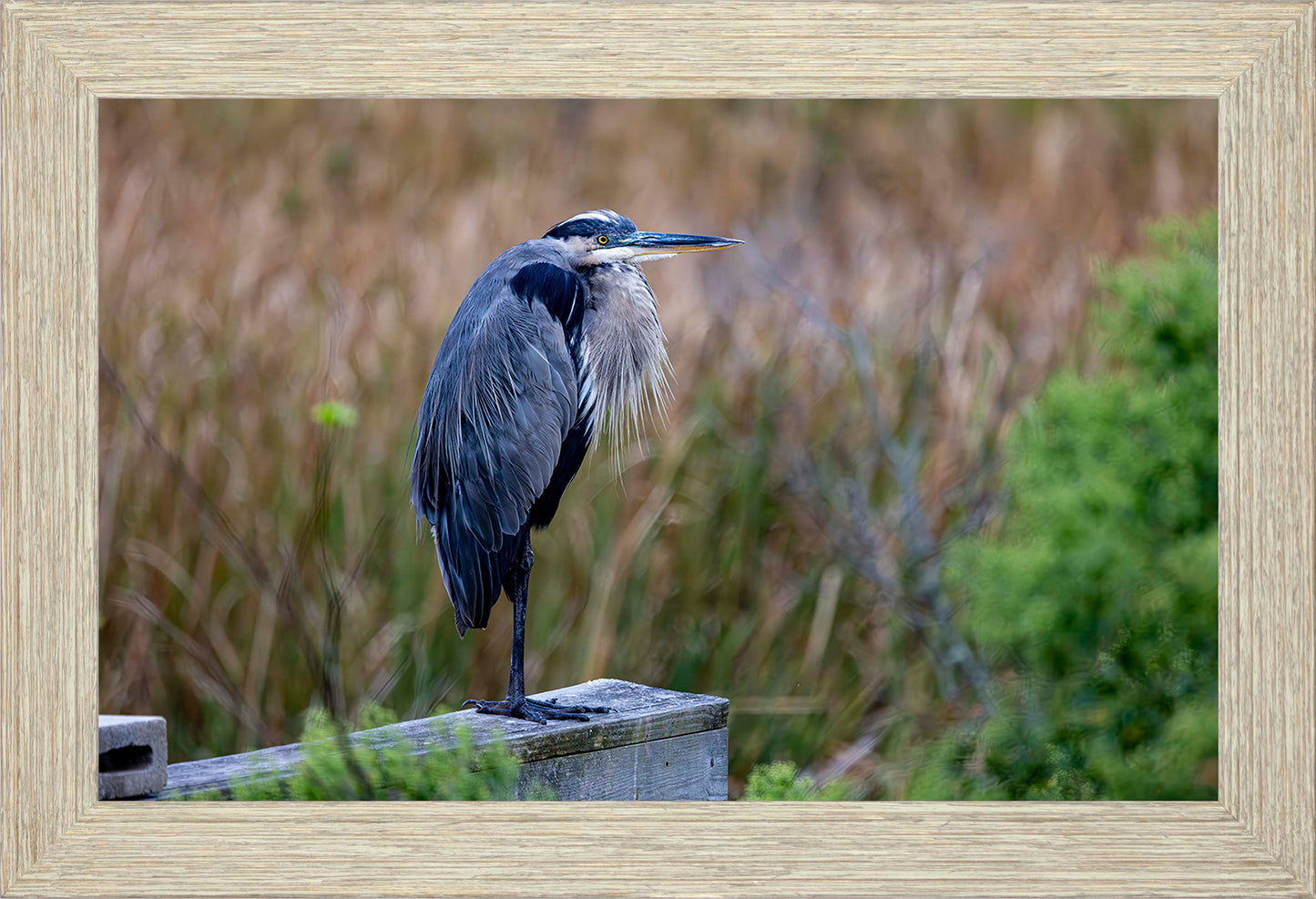 The Morning Watch -- Digital Print