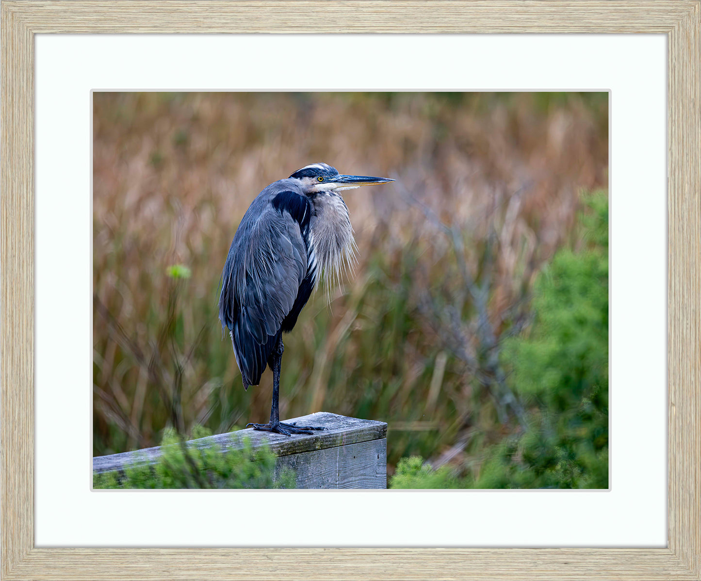 The Morning Watch -- Digital Print