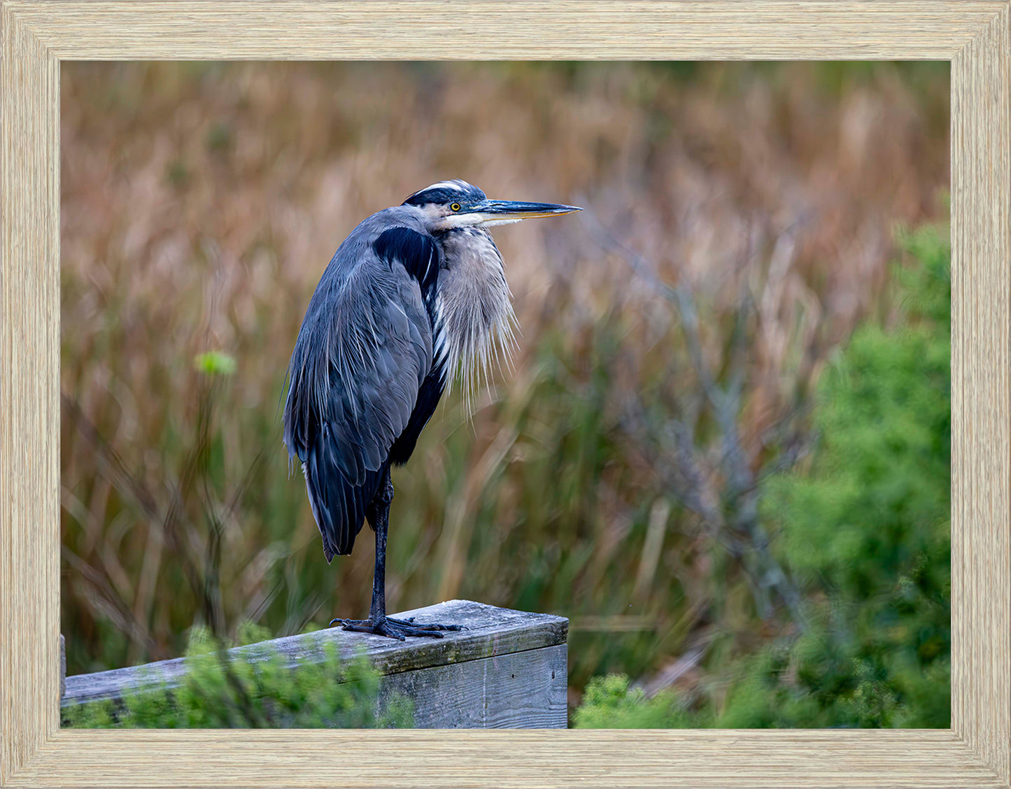 The Morning Watch -- Digital Print
