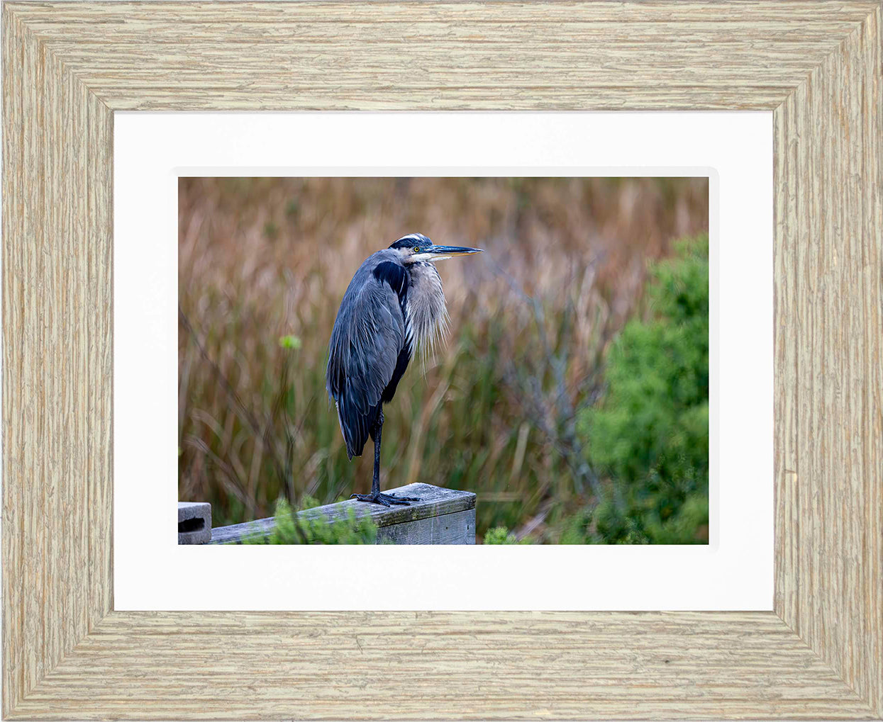 The Morning Watch -- Digital Print