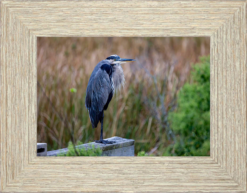 The Morning Watch -- Digital Print