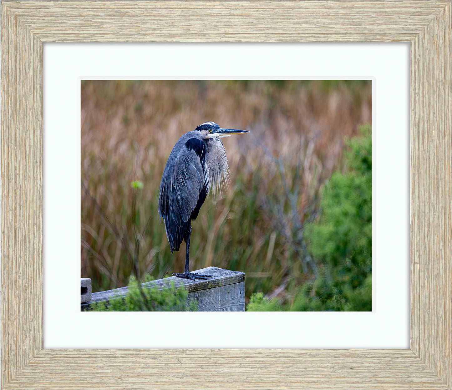 The Morning Watch -- Digital Print