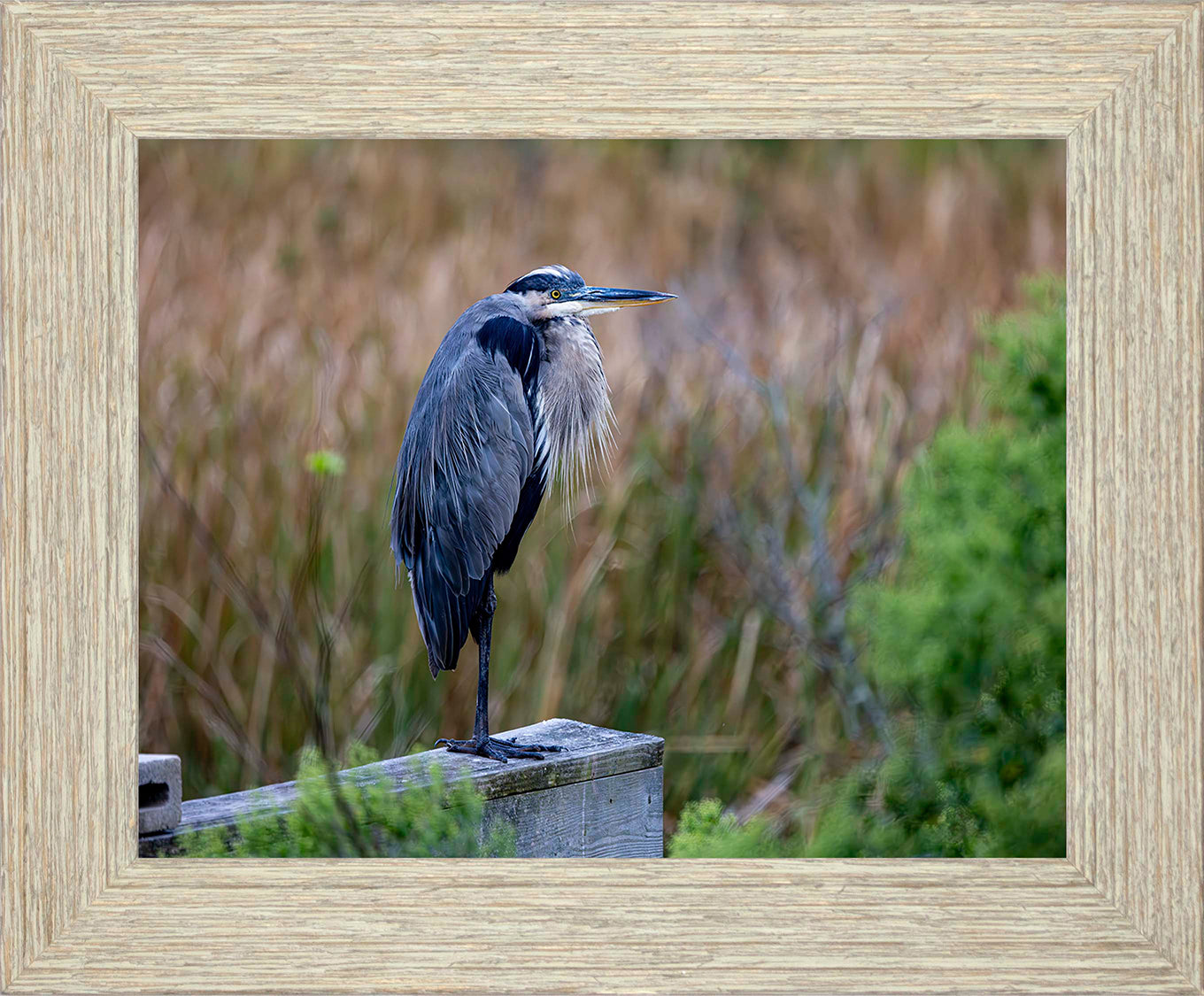 The Morning Watch -- Digital Print