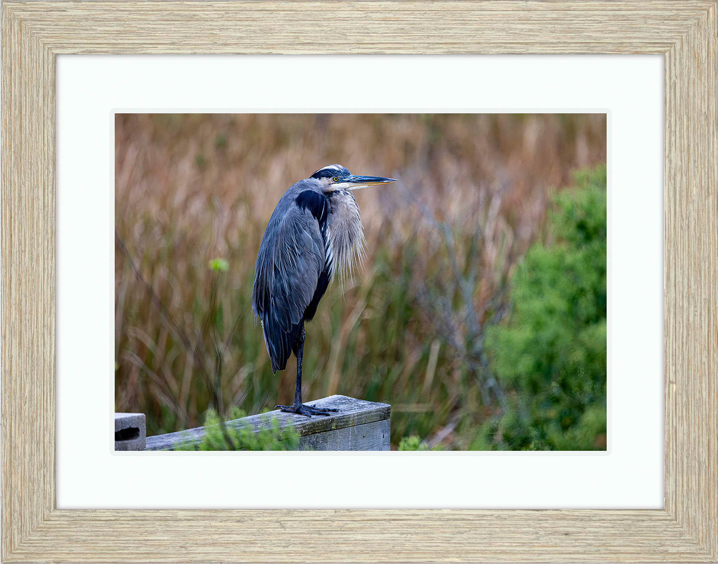 The Morning Watch -- Digital Print