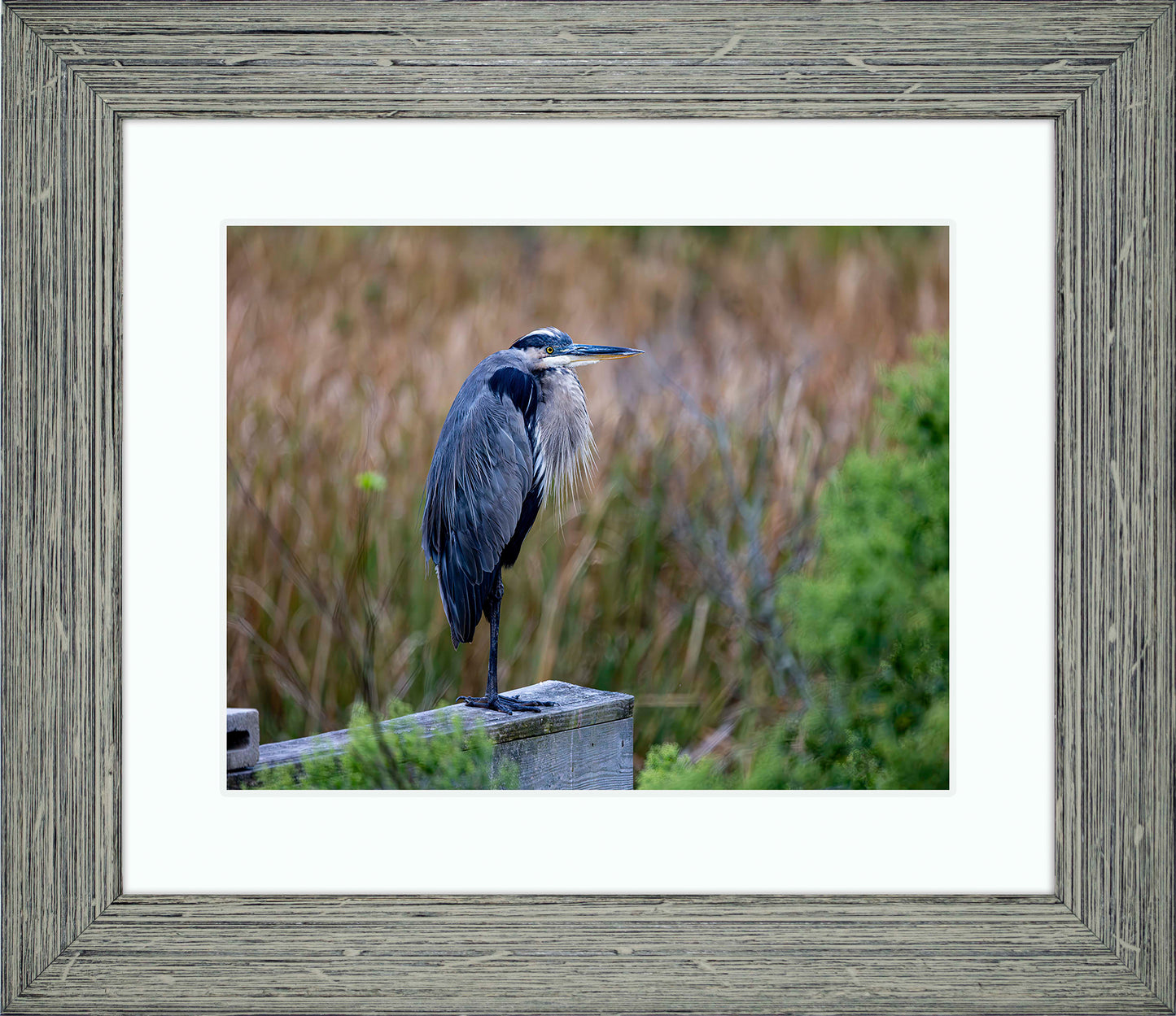 The Morning Watch -- Digital Print