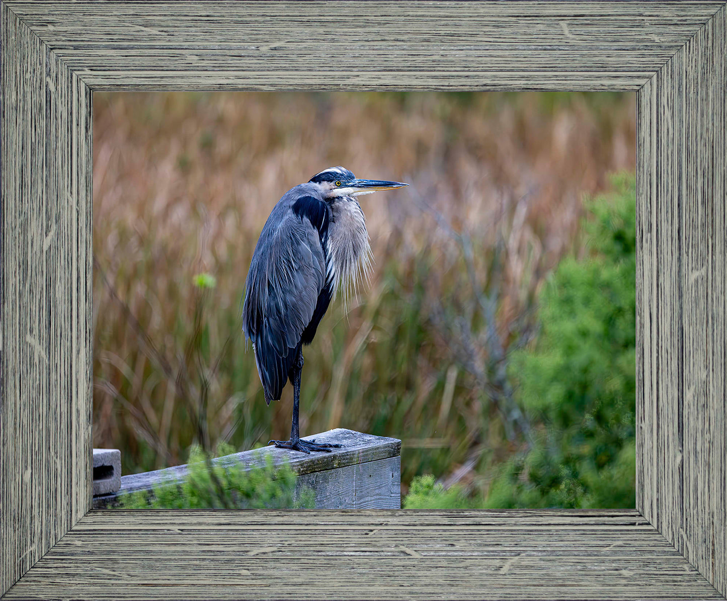 The Morning Watch -- Digital Print