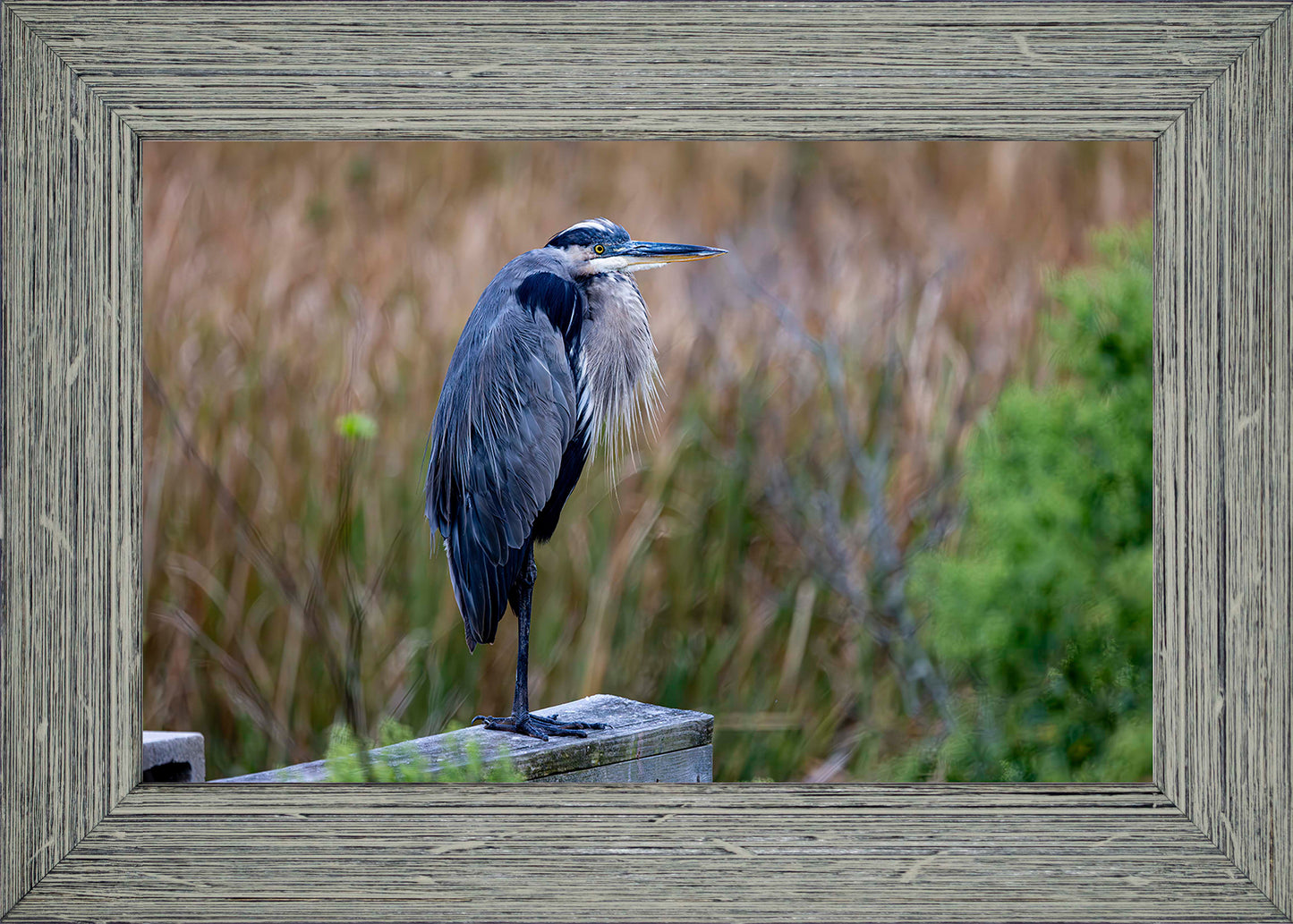 The Morning Watch -- Digital Print