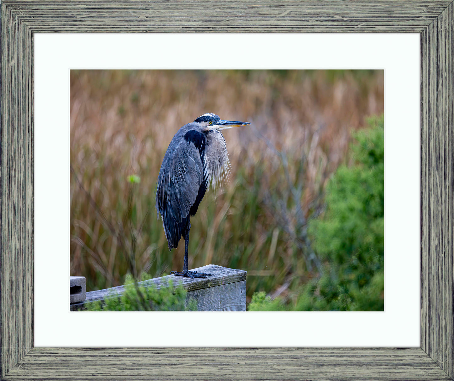 The Morning Watch -- Digital Print