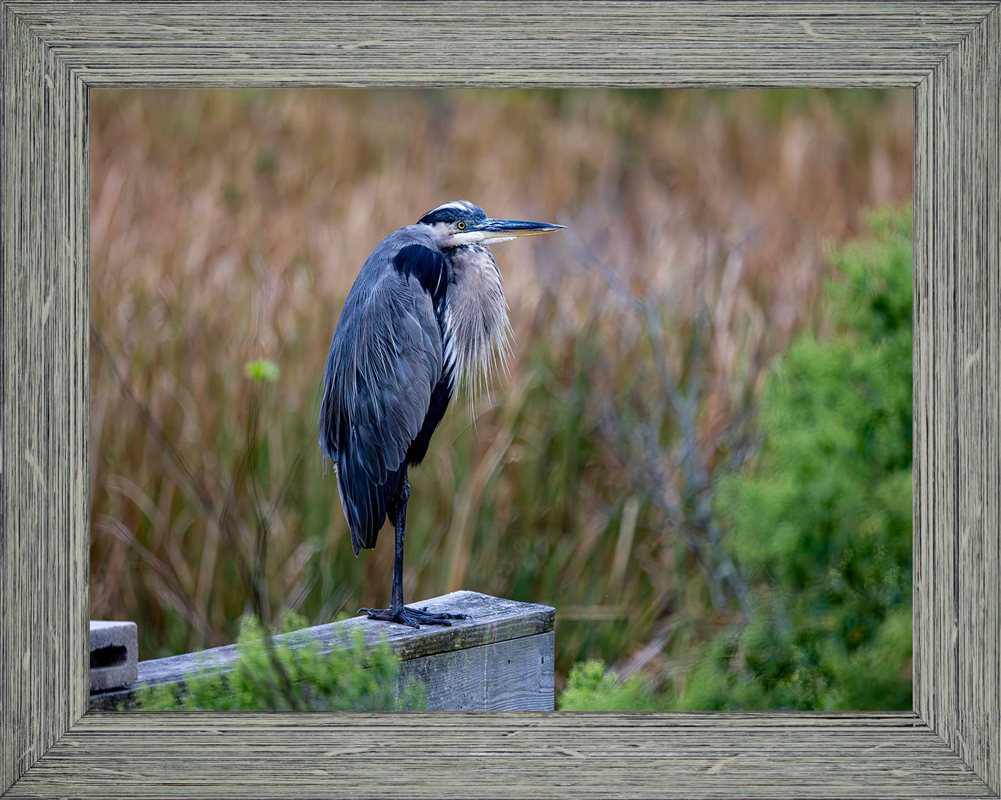 The Morning Watch -- Digital Print