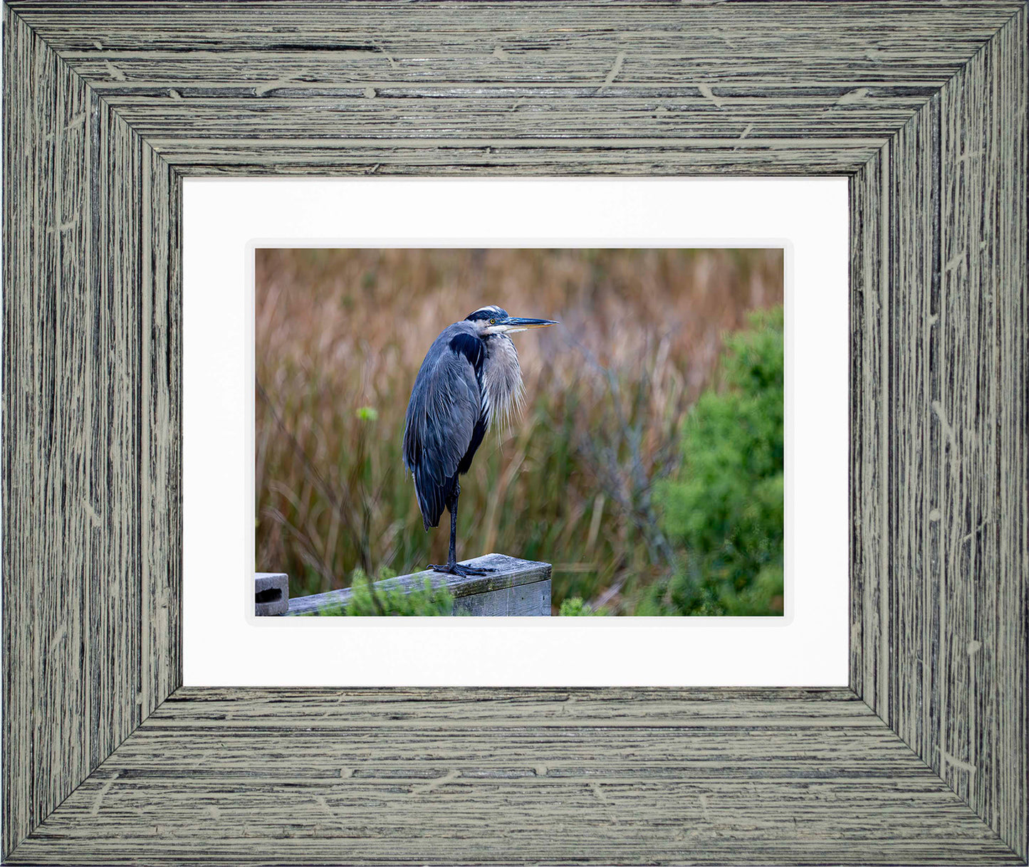 The Morning Watch -- Digital Print