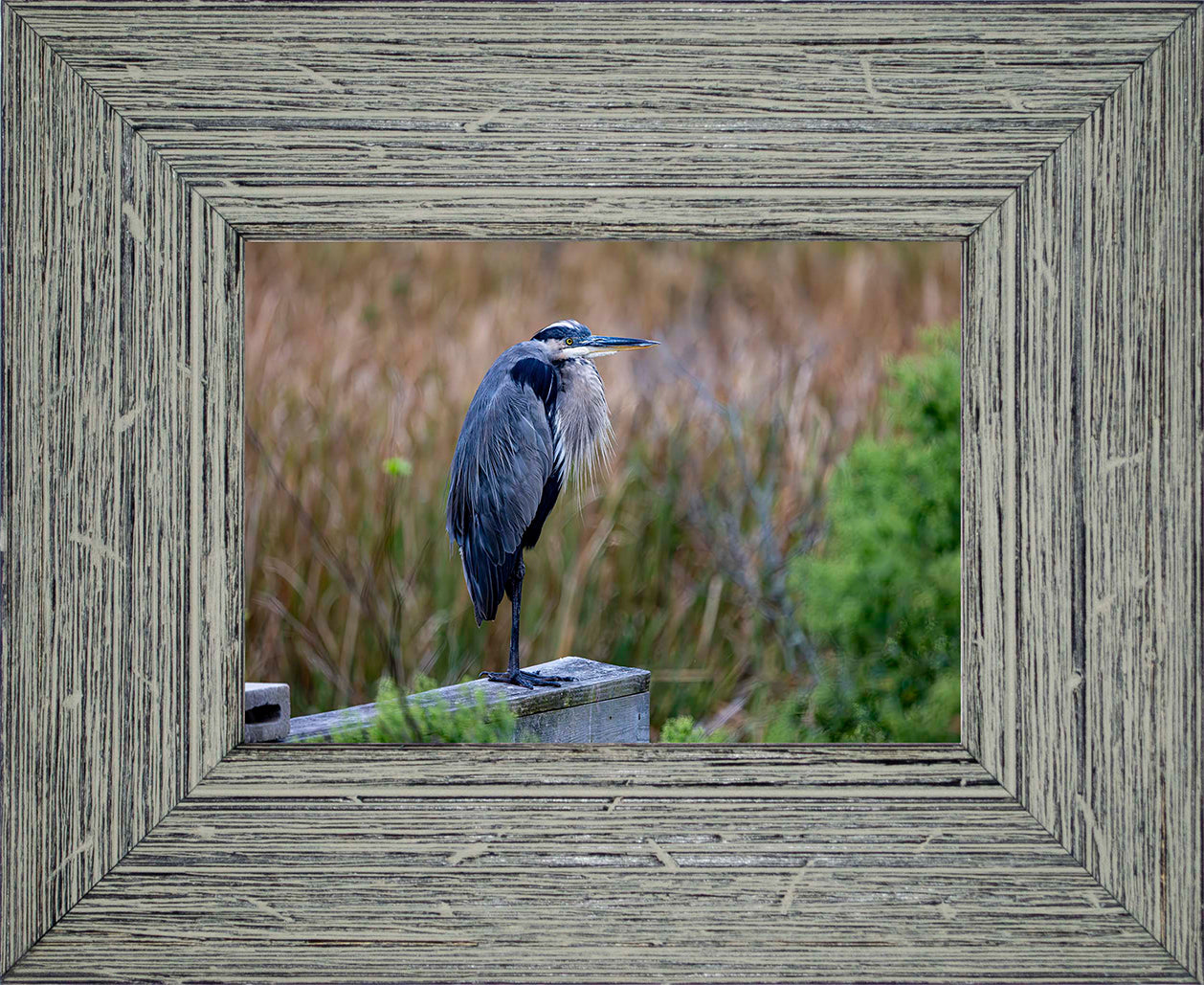 The Morning Watch -- Digital Print