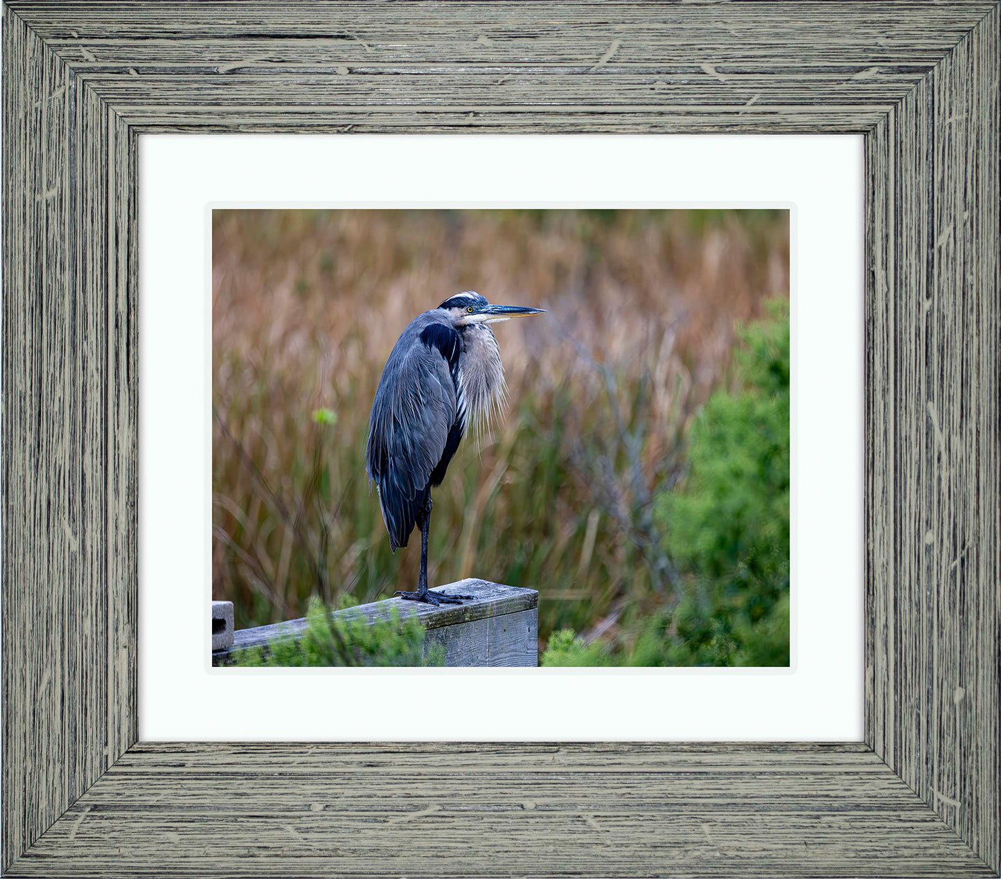 The Morning Watch -- Digital Print