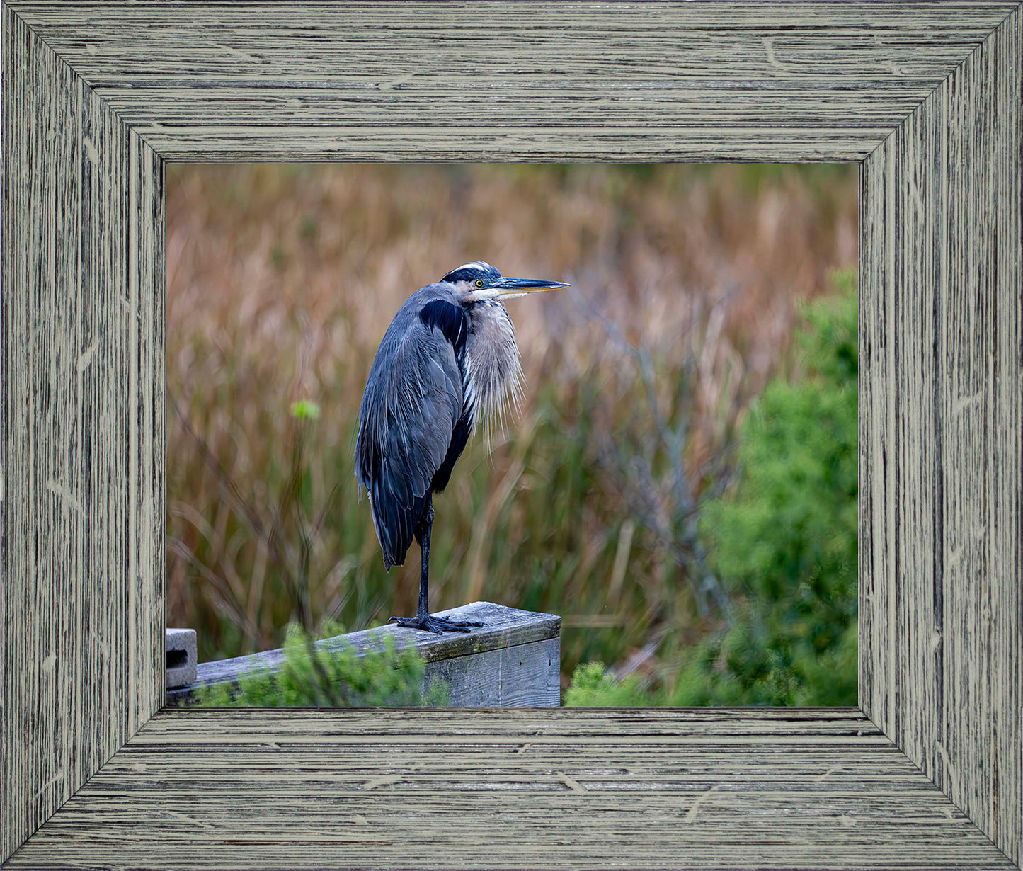 The Morning Watch -- Digital Print