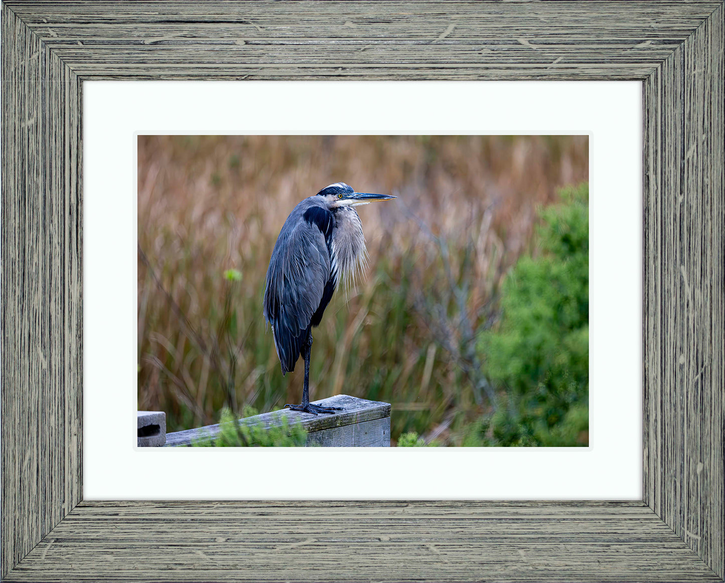 The Morning Watch -- Digital Print